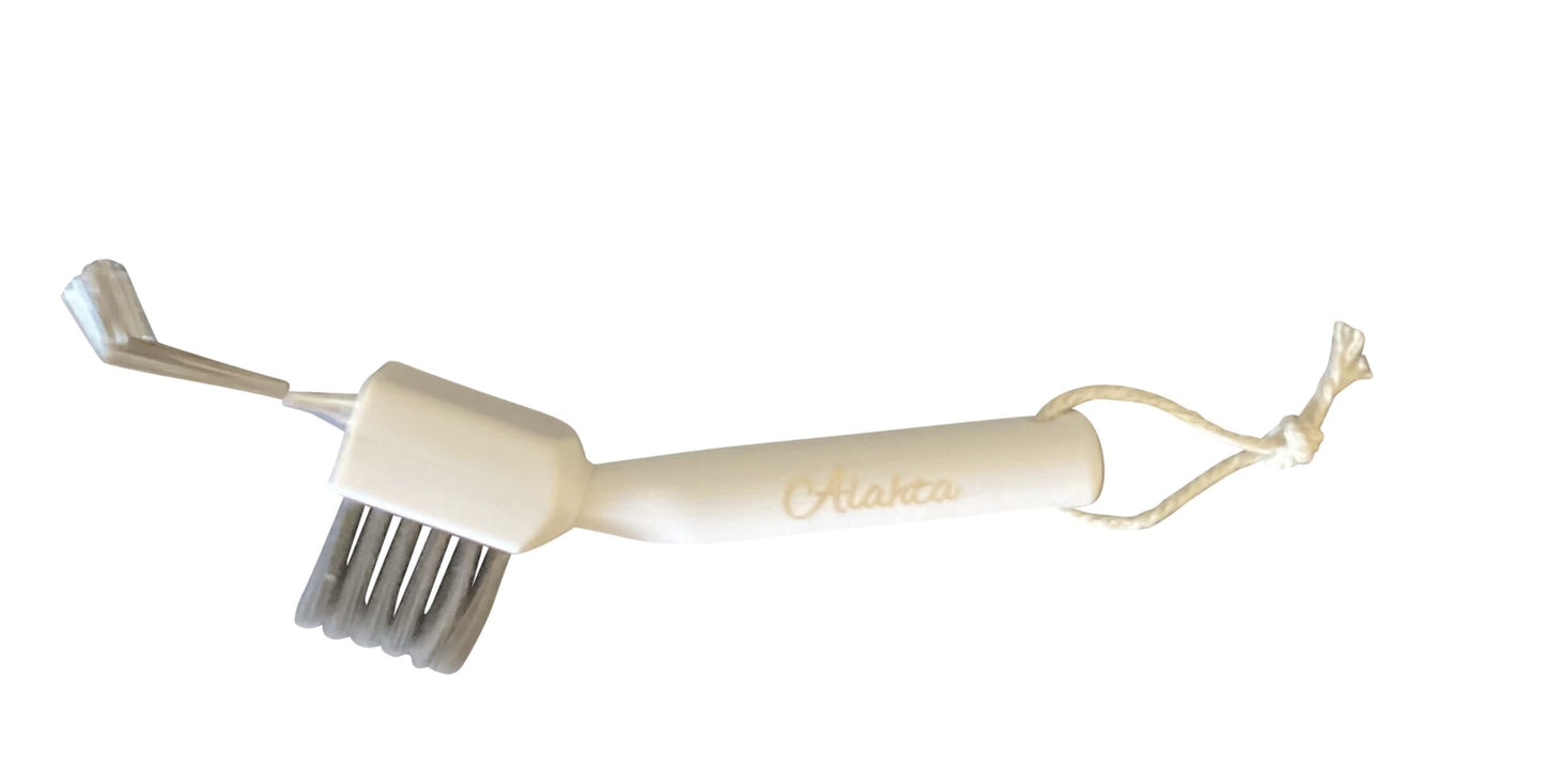 Hairbrush Cleaning Tool